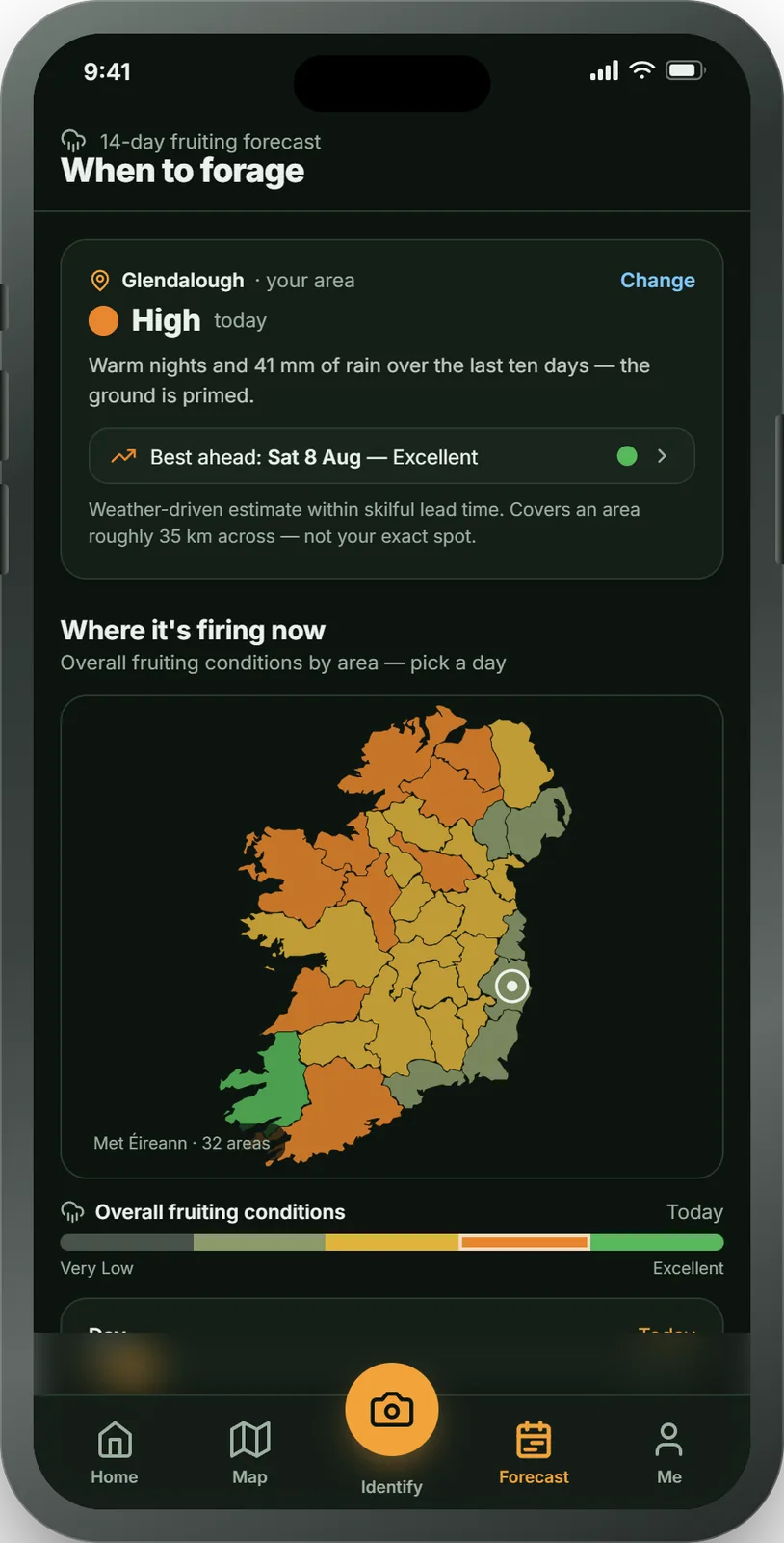 ForagePal app Forecast screen, showing the rule-based 14-day fruiting likelihood for the forager's region (illustrative mock-up, not a real capture)